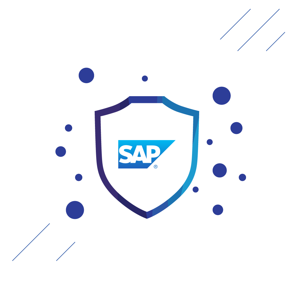 sap security